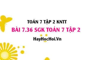 Bài 7.36 SGK Toán 7 tập 2 Kết nối tri thức